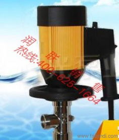 甘肅12v電動直流動抽油泵青島滑片式輸油泵青島演示實例