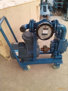 計(jì)量輸送油泵 高效抽油泵的價(jià)格解析與谷瀑環(huán)保應(yīng)用